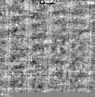 Wasserzeichen S.21_22