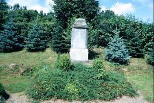 Kriegerdenkmal auf dem Friedhof für Gefallene des 1. WK