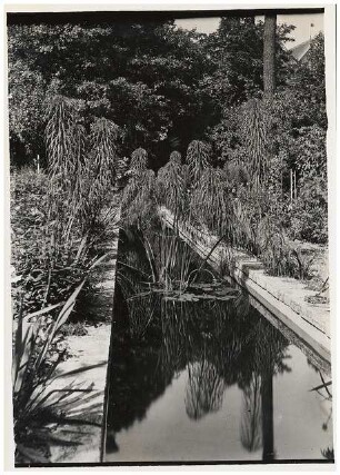 Garten Ullstein, Berlin: Wasserbecken