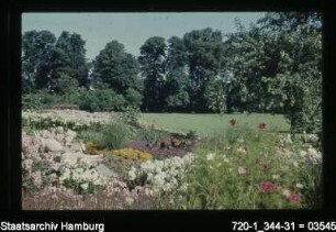Hammer Park