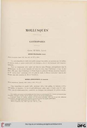 Mollusques