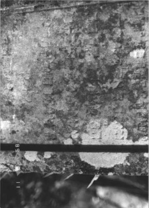 Grabstein 405 (Index: 99799619) Material: Sandstein Zustand: stark verwittert Maße HxBxT: 100x48x11 cm Beschreibung: Stele, Abdeckplatte, Giebelaufsatz, Seitenakrotere, Schriftfeld eingetieft, Sockel Symbolik: floral: Grabstein 405 (Detailaufnahme 4)