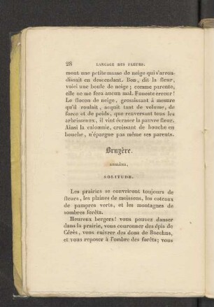Bruyere.
