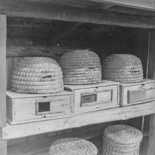 Lehde. Sorbisches Museum : Freilandmuseum Lehde. Bienenkörbe