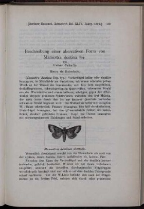 Beschreibung einer aberrativen Form von Mamestra dentina Esp.