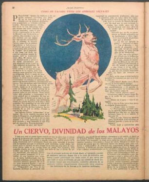 Un ciervo, divinidad de los malayos : Cómo he cazado vivos los animales salvajes