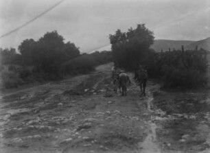 Oskar Schmieders Reisebegleiter : Oskar Schmieders Reisebegleiter mit zwei Pferden auf einer Straße.