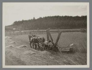 Der Fortschritt zieht in der Landwirtschaft ein. Getreideernete mit der Balkenmähmaschine