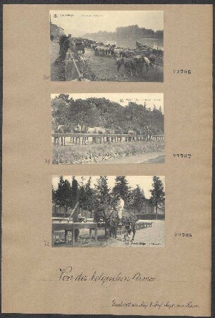 Fotopostkarten: Les chevaux à l'abreuvoir