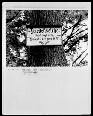 Friedenseiche