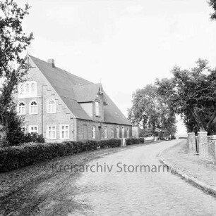 Rohlfshagen: Dorfstraße mit Kopfsteinpflaster: hinten links Bauernhaus: davor Hecke: links und hinten rechts Bäume