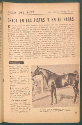 Crack en las pistas y en el haras : Cosas del turf