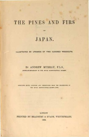 The Pines and firs of Japan