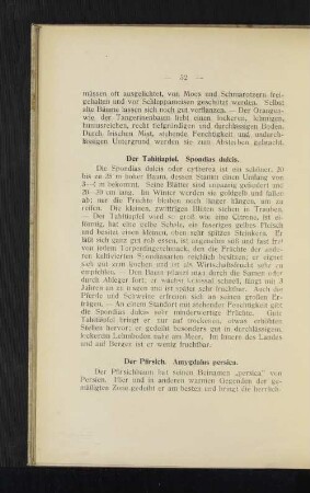 Der Tahitiapfel. Spondias dulcis.