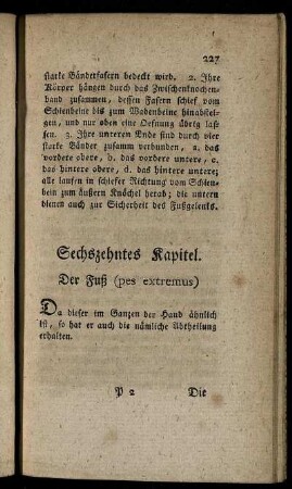 Sechszehntes Kapitel. Der Fuß (pes extremus).