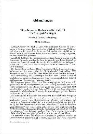 Ein Subrezenter Buchenwald im Kalktuff von Stuttgart-Vaihingen