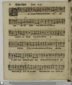 V. O Jesu mein Erlöser ach wo soll ich hin