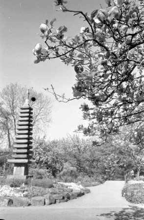 Frühling im Stadtgarten