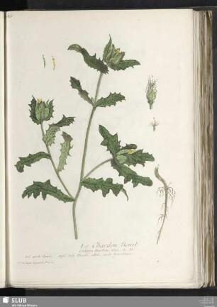 Le Chardon Benit