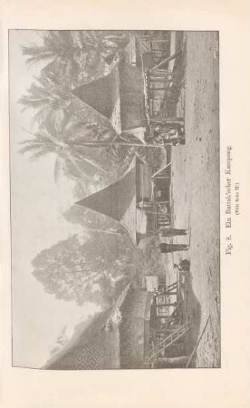 Fig. 8. Ein Battak'scher Kampong