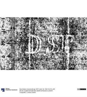 Buchstaben (zweikonturig): DST