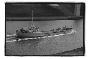 Alk (1957), Behrmann, Dornbusch