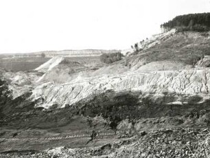Oberlausitz, Neißeniederung. Niederbusch südöstlich Hirschfelde. Übergang vom 1. zum 2. Bergrutsch mit abgesacktem Waldstück. Blick nach Süd zum Tagebau Hirschfelde. 30.8.1940