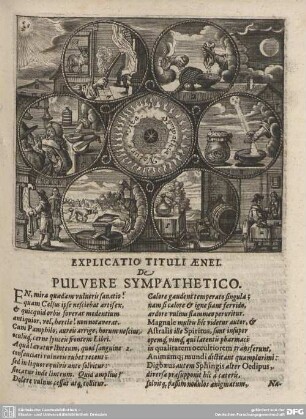 Sympathia Naturae vita.