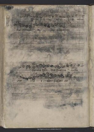 Anonymus: Pater filius sanctus spiritus
