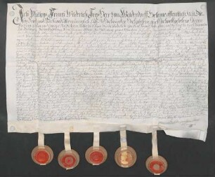 Instrumentum probationis des Philipp Franz Wilderich von Walderdorff.