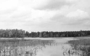 Schönteichen-Biehla. An den Mühlteichen