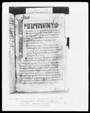 Frühkarolingisches Evangeliar — Initiale I(n principio), Folio 101recto