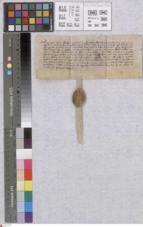 Leeheim: Litera Venditionis Juttae Abbatissae et Conventus Cenoby ad Coronam sanctae Mariae extra muros Oppinheim data Monasterio Eberbacensi supe...