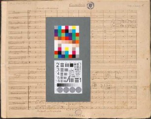 Die Erbin von Montfort, orch, Excerpts - BSB Mus.ms. 10138 : [caption title:] Ouverture
