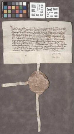 Friedberg: Kaiser Karls IV. Privileg über die Erbauung eines Gerichtshauses