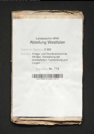 Das Prinsleven-Kolonat im Kirchspiel Ibbenbüren