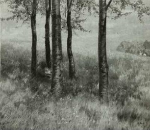 Gebergrundlandschaft