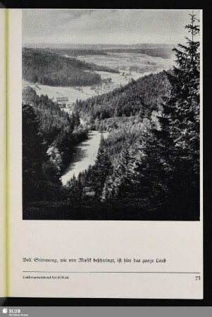 Landesgemeindetal bei Erlbach