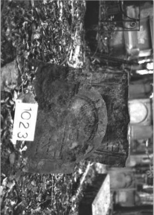 Grabstein 1023 (Index: 99899611) Material: Sandstein Zustand: stark verwittert, Zerstörungsspuren: in der Mitte durchgebrochen Maße HxBxT: 112x64x14 cm Beschreibung: Stele mit eingezogenem Rundbogenabschuss, in der Mitte durchgebrochen, Oberteil lehnt an Unterteil Besonderheit: vermutete Identifizierung nach Gräberverzeichnis: Grabstein 1023