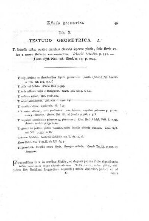 Tab. X. Testudo Geometrica.