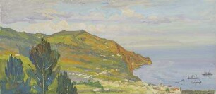 Blick nach Norden auf Funchal (Madeira)