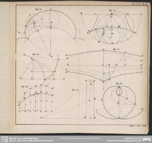 Fig. 24-30. Taf. III.