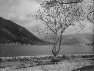 Bucht von Kotor : Blick von der Promenade über die Bucht von Kotor