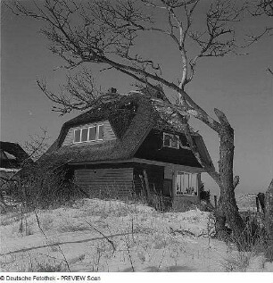 Bei Dierhagen. Haus hinter den Dünen