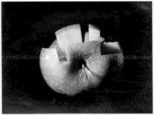 Aufgeschnittener Apfel (Altersgruppe 14-17)