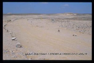 Djara 90/1 ggW