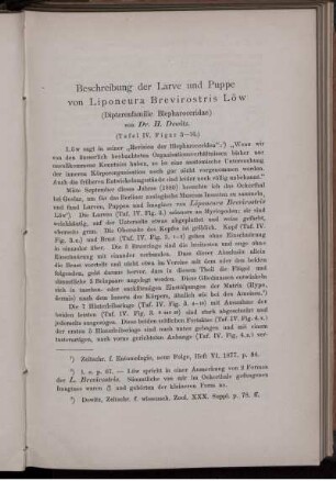 Beschreibung der Larve und Puppe von Liponeura Brevirostris Low (Dipterenfamilie Blepharoceridae)
