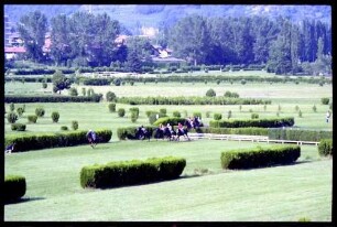 Meran (Südtirol, Italien): Galopp-Hindernis Rennen
