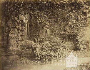 Schlossmauer mit Gebüsch und Weg