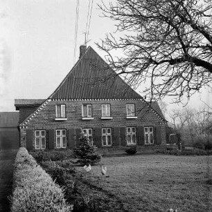 Bauernhaus: Vorgarten mit Hecke und Tanne: Hühner auf Rasen: rechts Baumäste